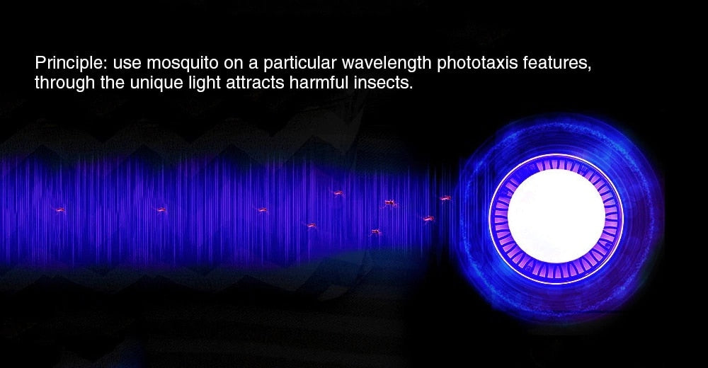 Electric Mosquito Killer Lamp - AlgorIthymz